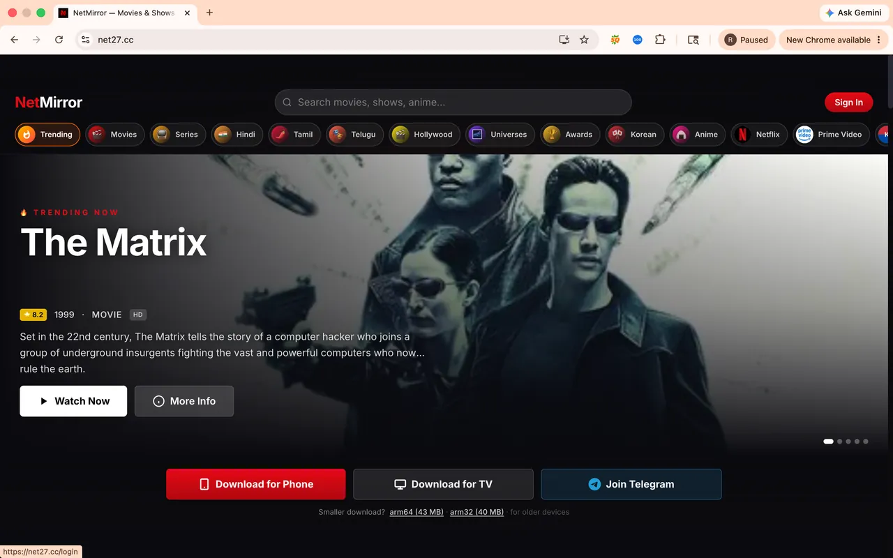 NetMirror on a PC browser